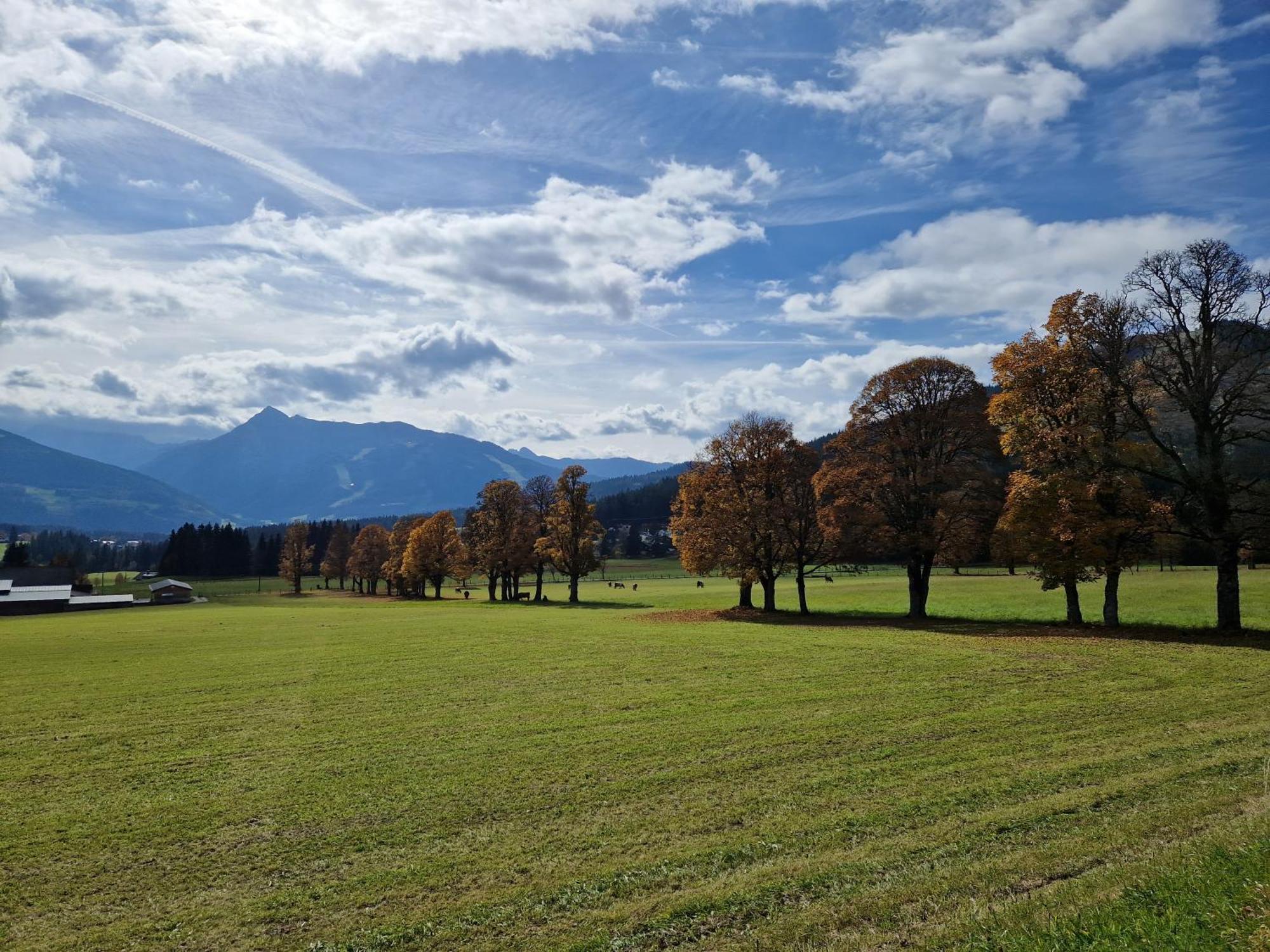 Romantikapartment Mit Sommercard Ramsau am Dachstein Exterior photo